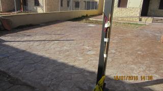 Img. Hormg. Impreso 2.JPG